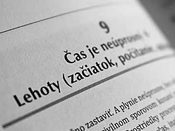 Plynutie lehôt vo vzťahu dovolania a ústavnej sťažnosti